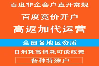百度SEO推广案例：优化策略与效果对比